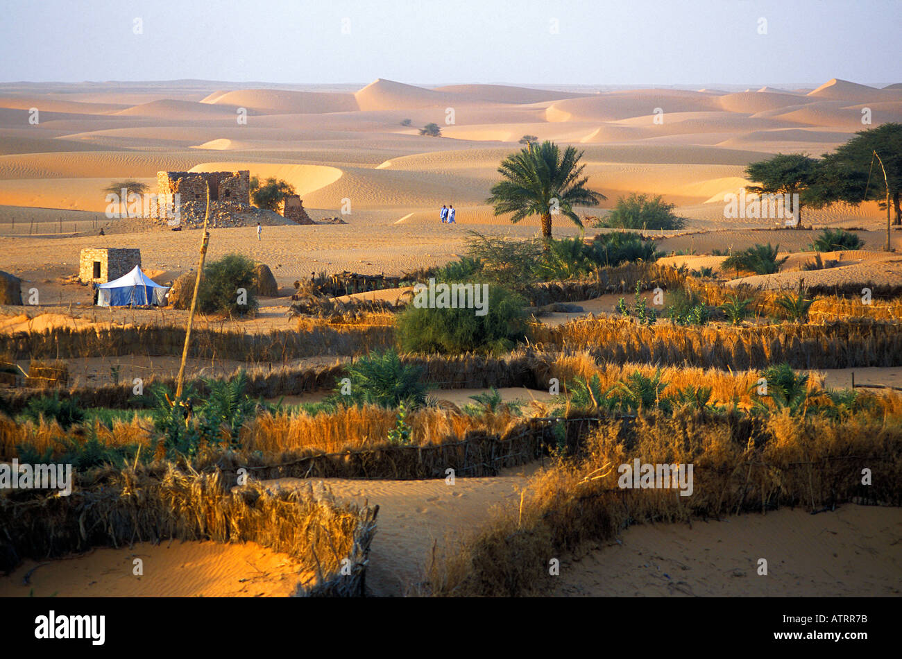 Mauritania agriculture hires stock photography and images Alamy