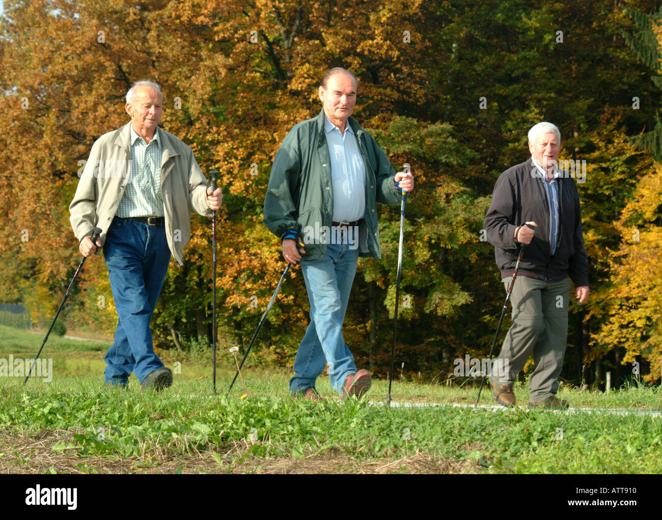 Ältere Männer beim Nordic Walking seniors are Nordic Walking Bildagentur online Begsteiger Stock Photo