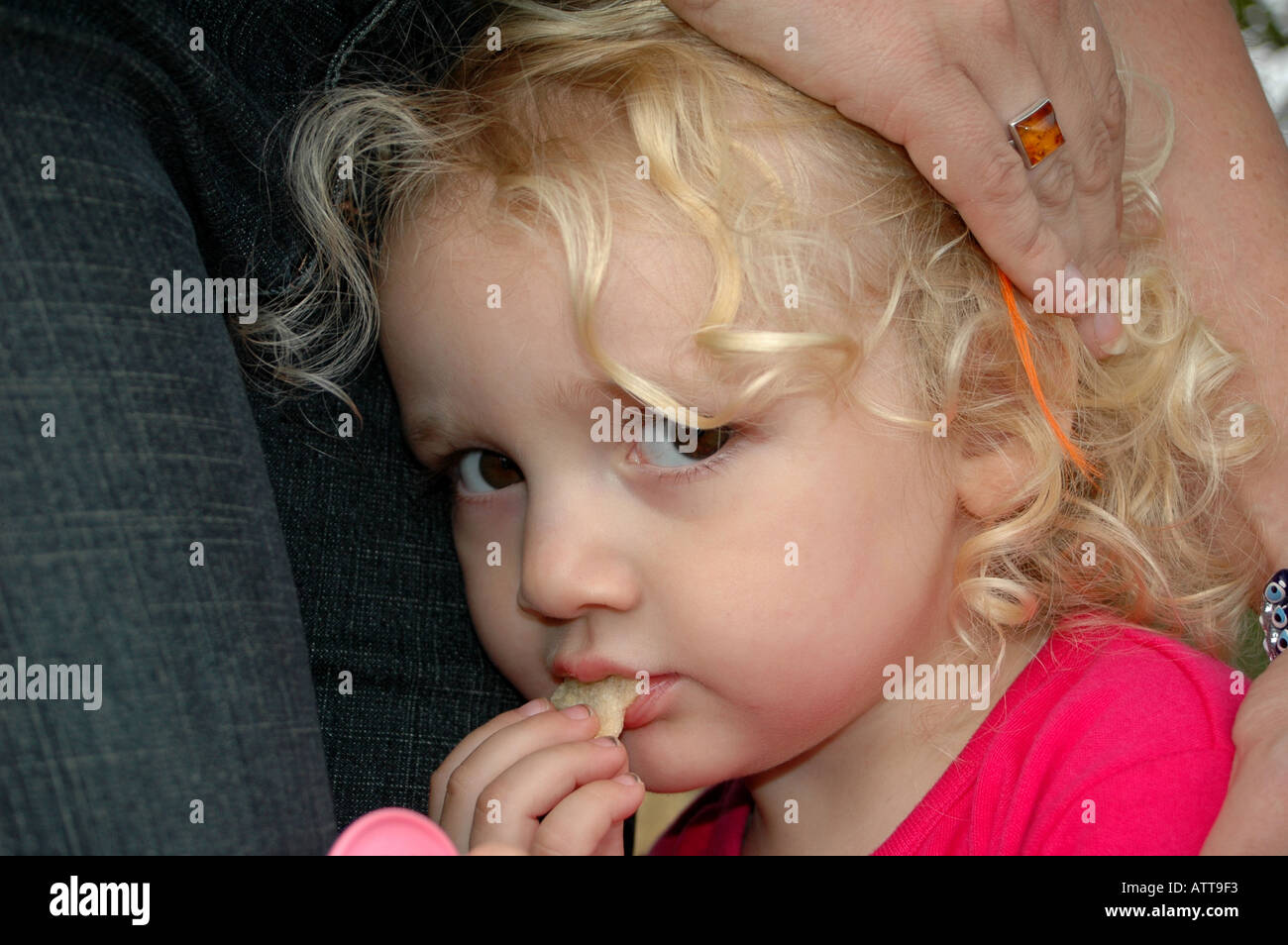 MR Kleines schüchternes Mädchen sucht Schutz bei der Mutter MR little shy girl Bildagentur online Begsteiger Stock Photo