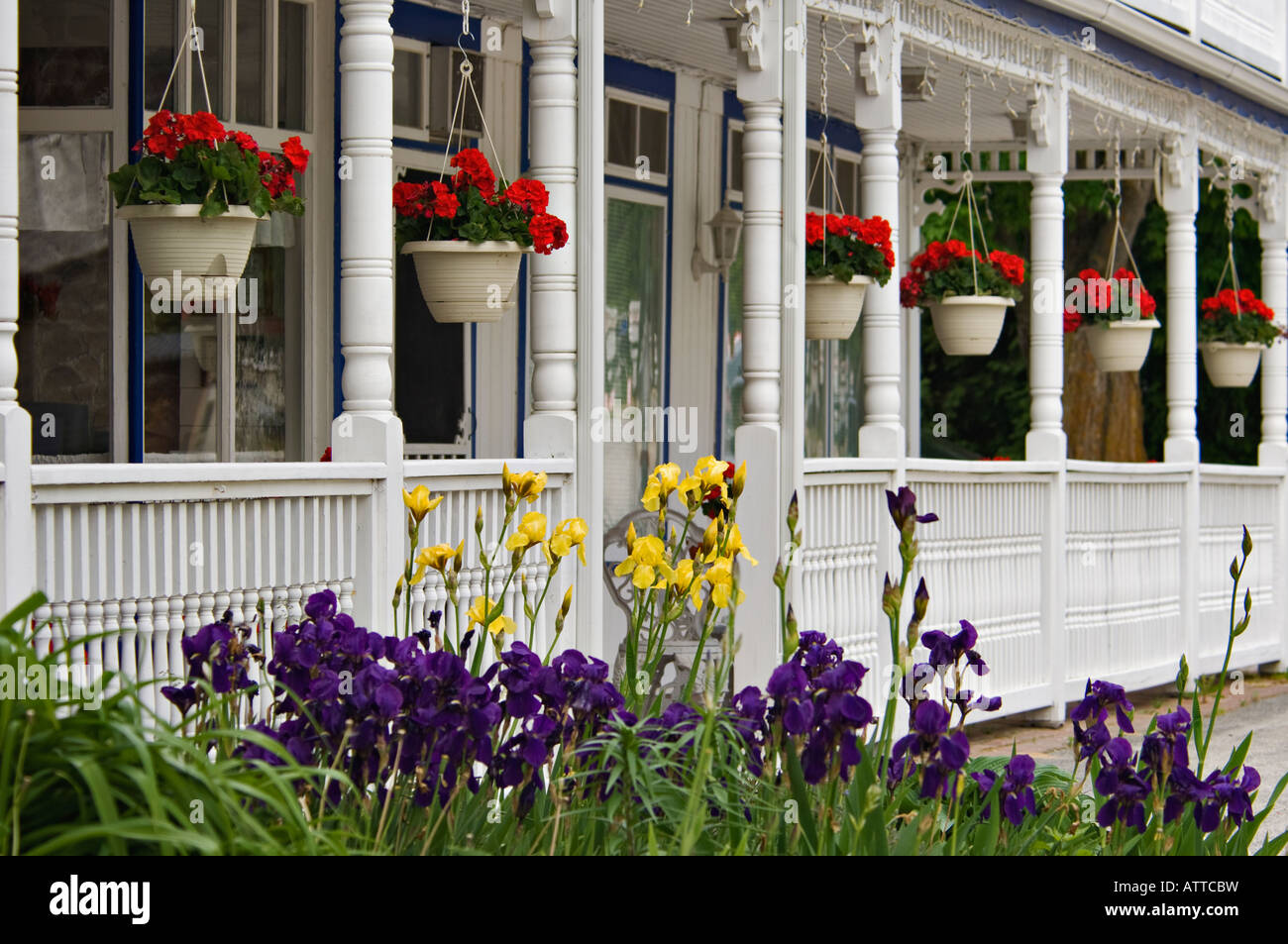 Red Geraniums in Hanging Baskets on White Porch with Yellow and Purple Iris in Front Door County Wisconsin Stock Photo