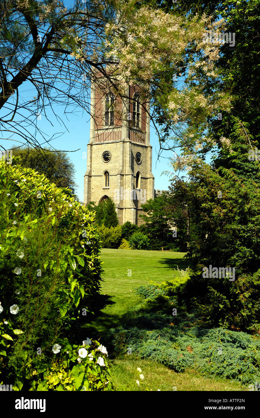 St. Micheal's Church, Bishops Stortford, Hertfordshire Stock Photo