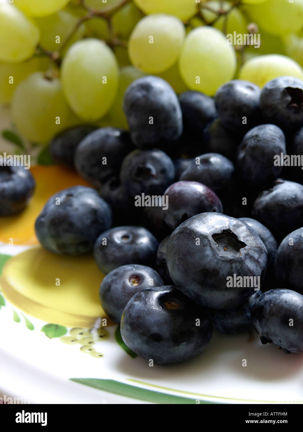 Blueberry (Vaccinium corymbosum) and grape vine (Vitis vinifera) Stock Photo