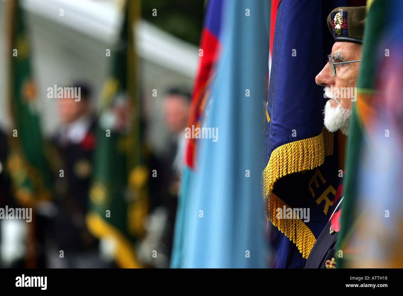 War veterans on parade at an Armistice Day Service in Exeter, Devon UK Stock Photo