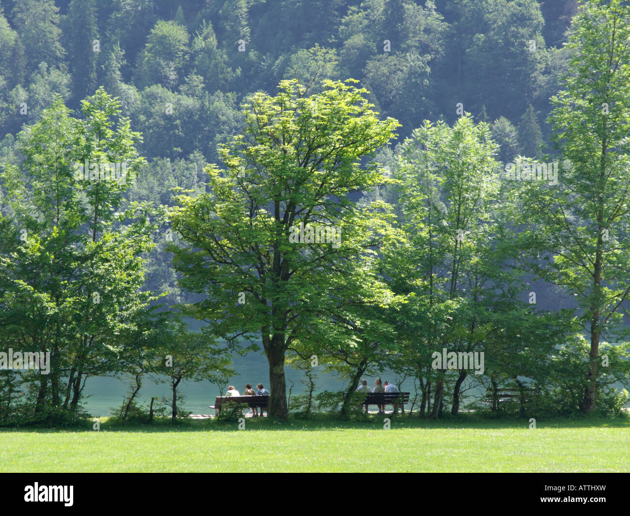 Lake Königssee, Berchtesgaden National Park, Germany Stock Photo - Alamy
