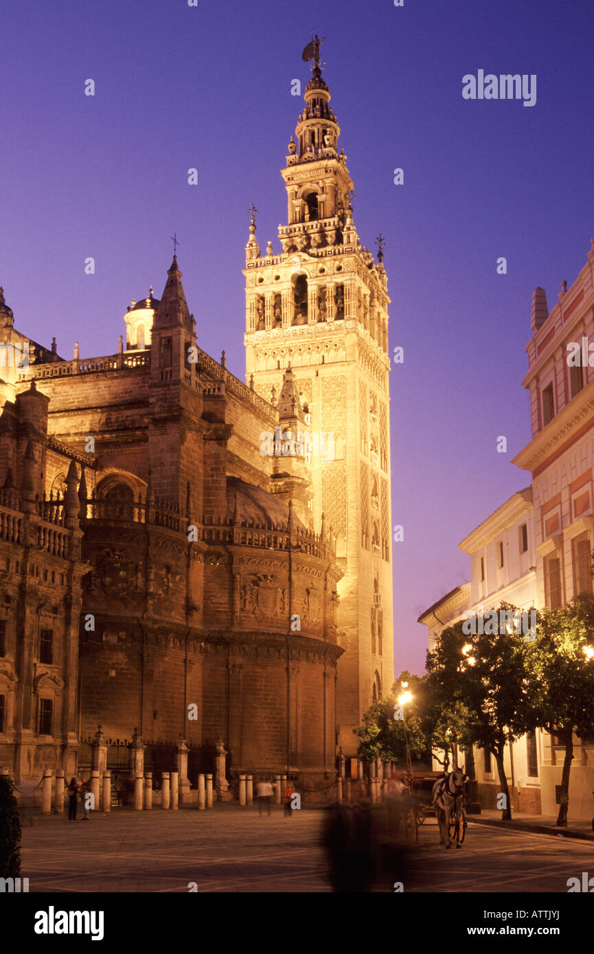 La Giralda, Cathedral of Sevilla at dusk, Sevilla, Andalucia, Spain, Europe, EU Stock Photo