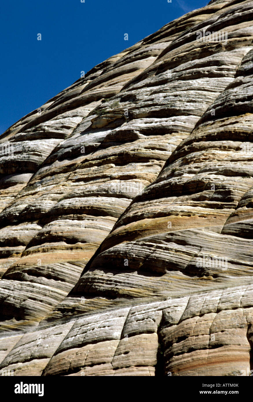UT Utah Zion National Park Checkerboard Mesa erosion geologic ...