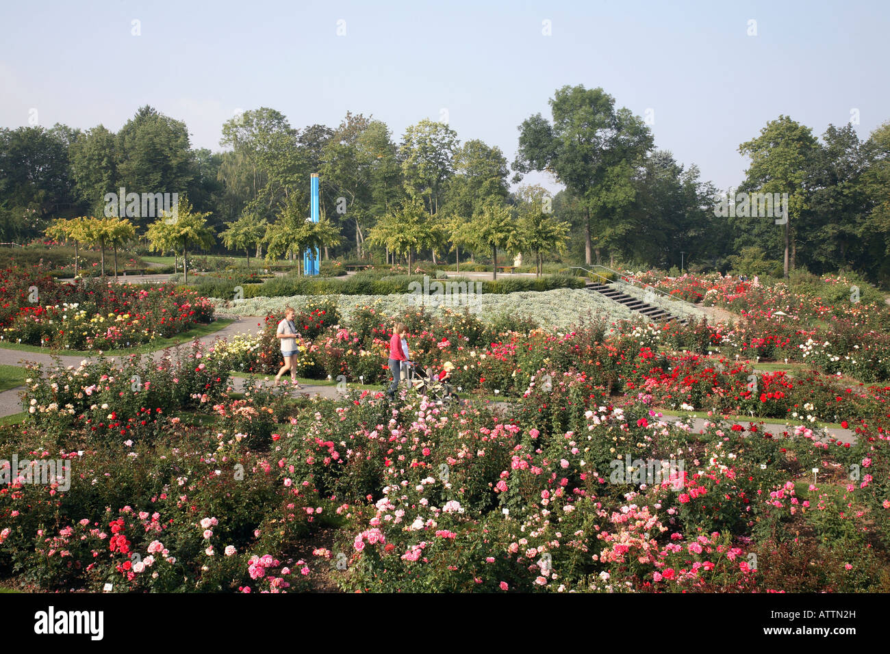 Europe Rosarium Sangerhausen High Resolution Stock Photography and