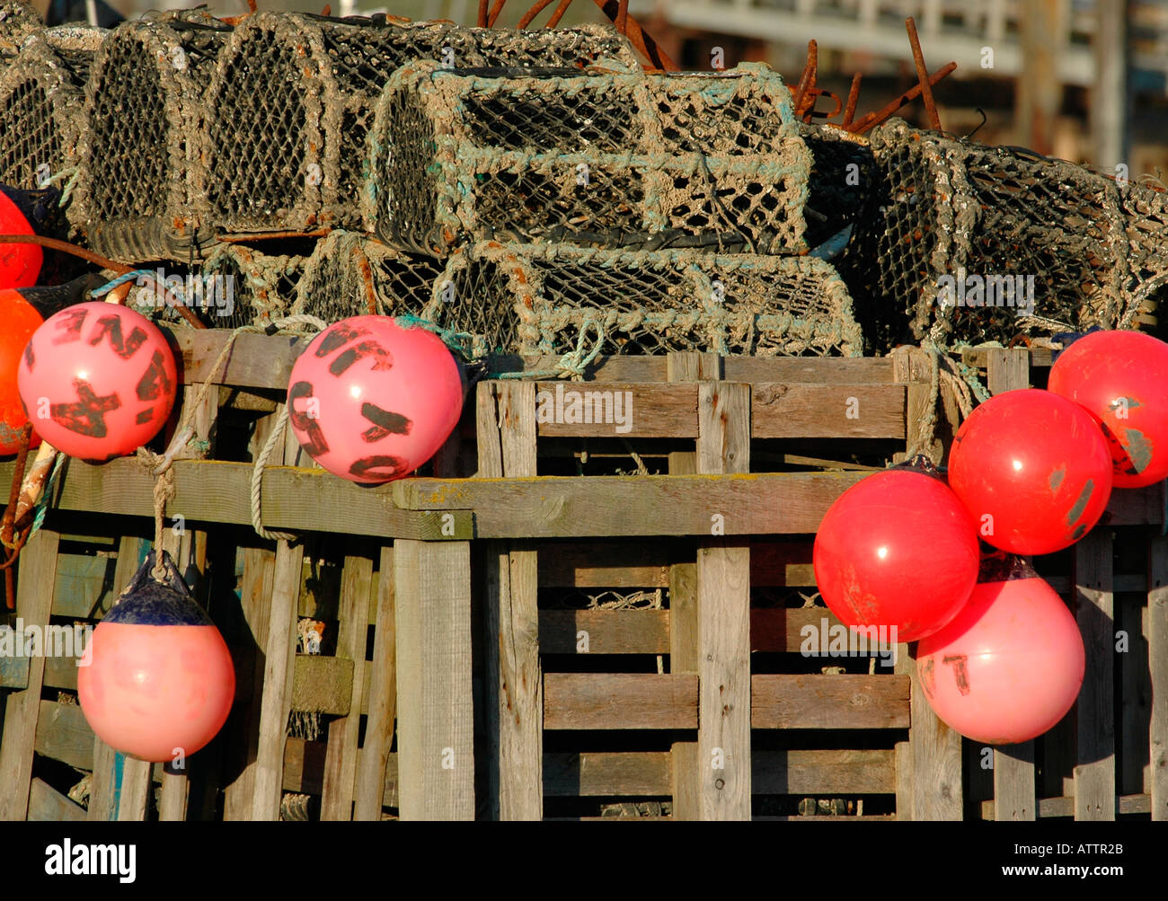 Crab pots and buoys Stock Photo Alamy