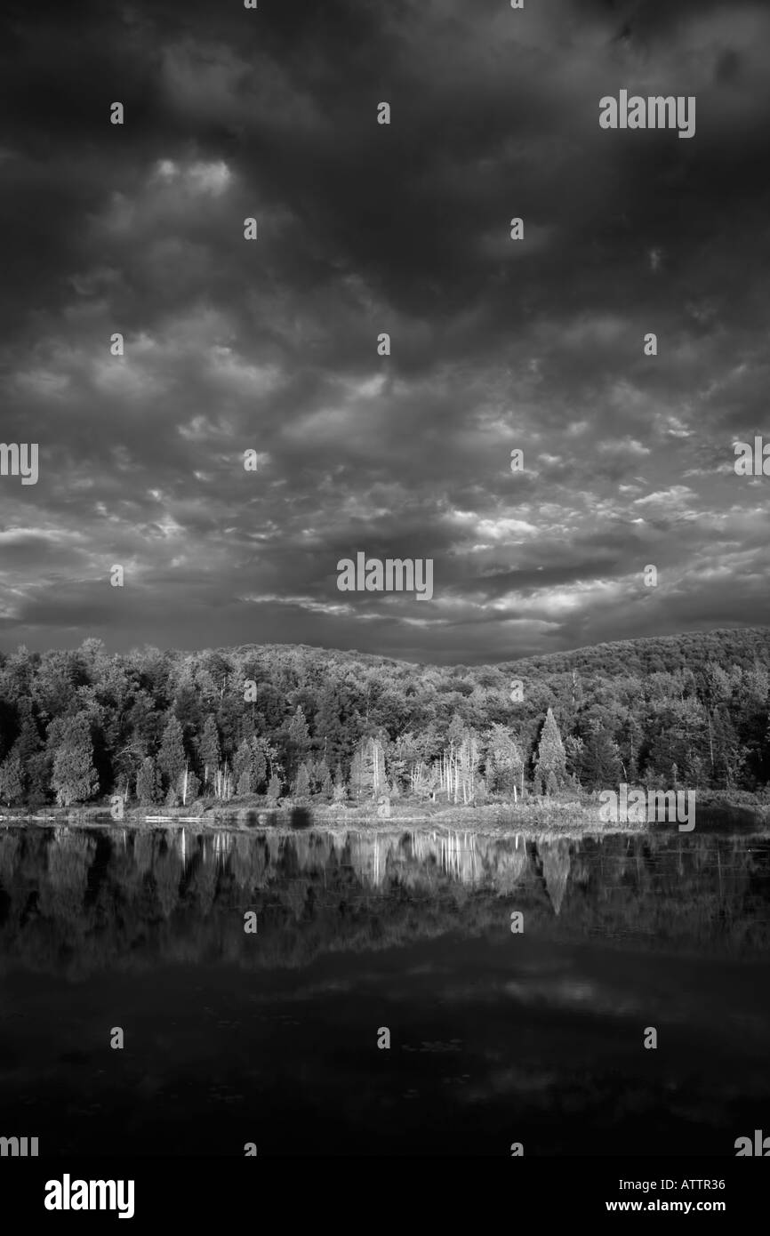Pines and sunset Black and White Stock Photos & Images - Alamy