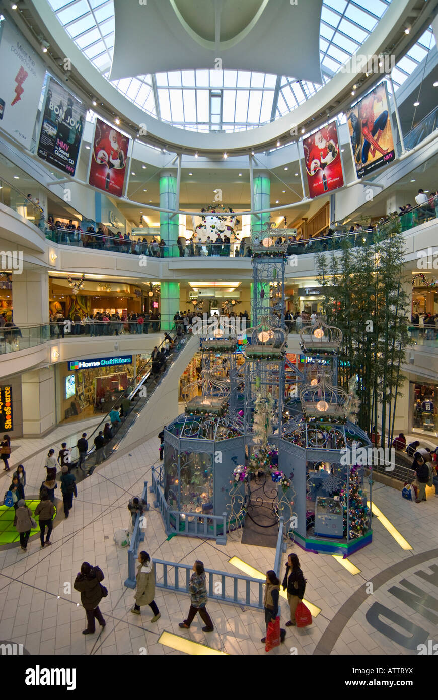 Are Dogs Allowed In Metrotown Mall