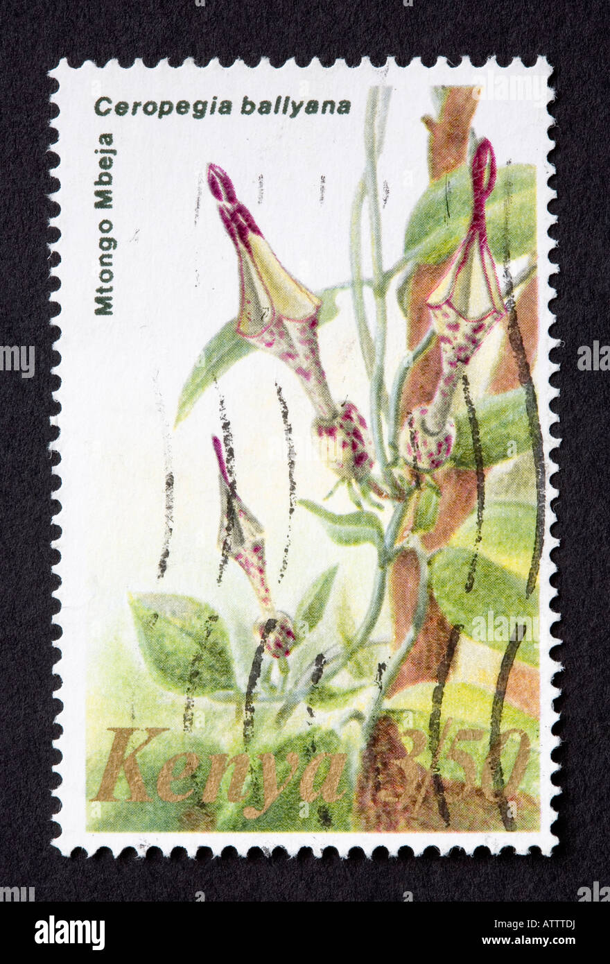Kenya postage stamp hires stock photography and images Alamy