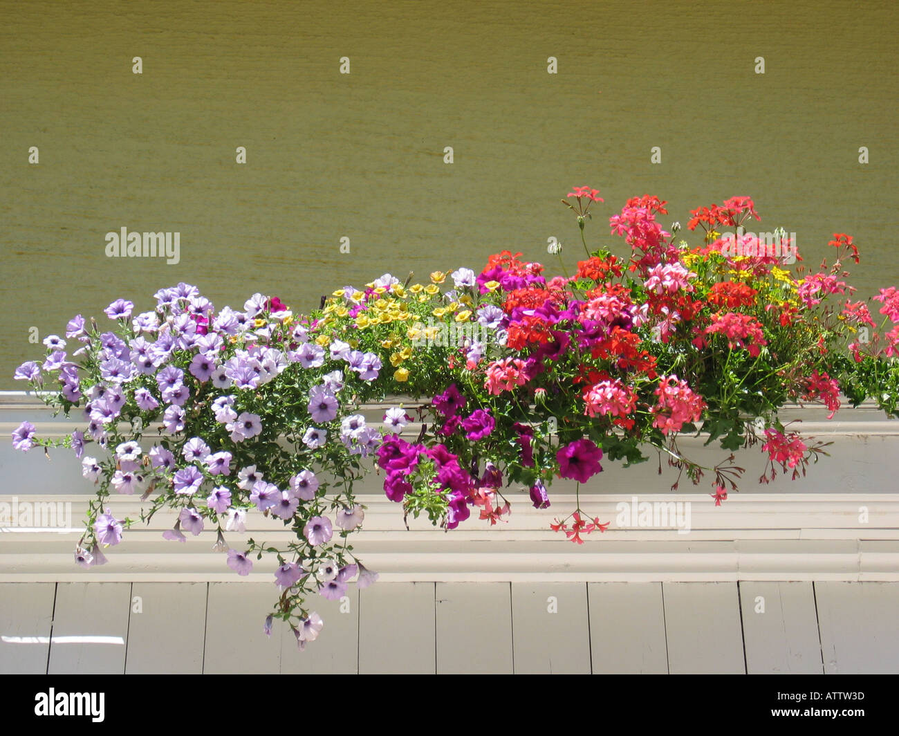 Austrian balcony with hanging baskets Stock Photo Alamy
