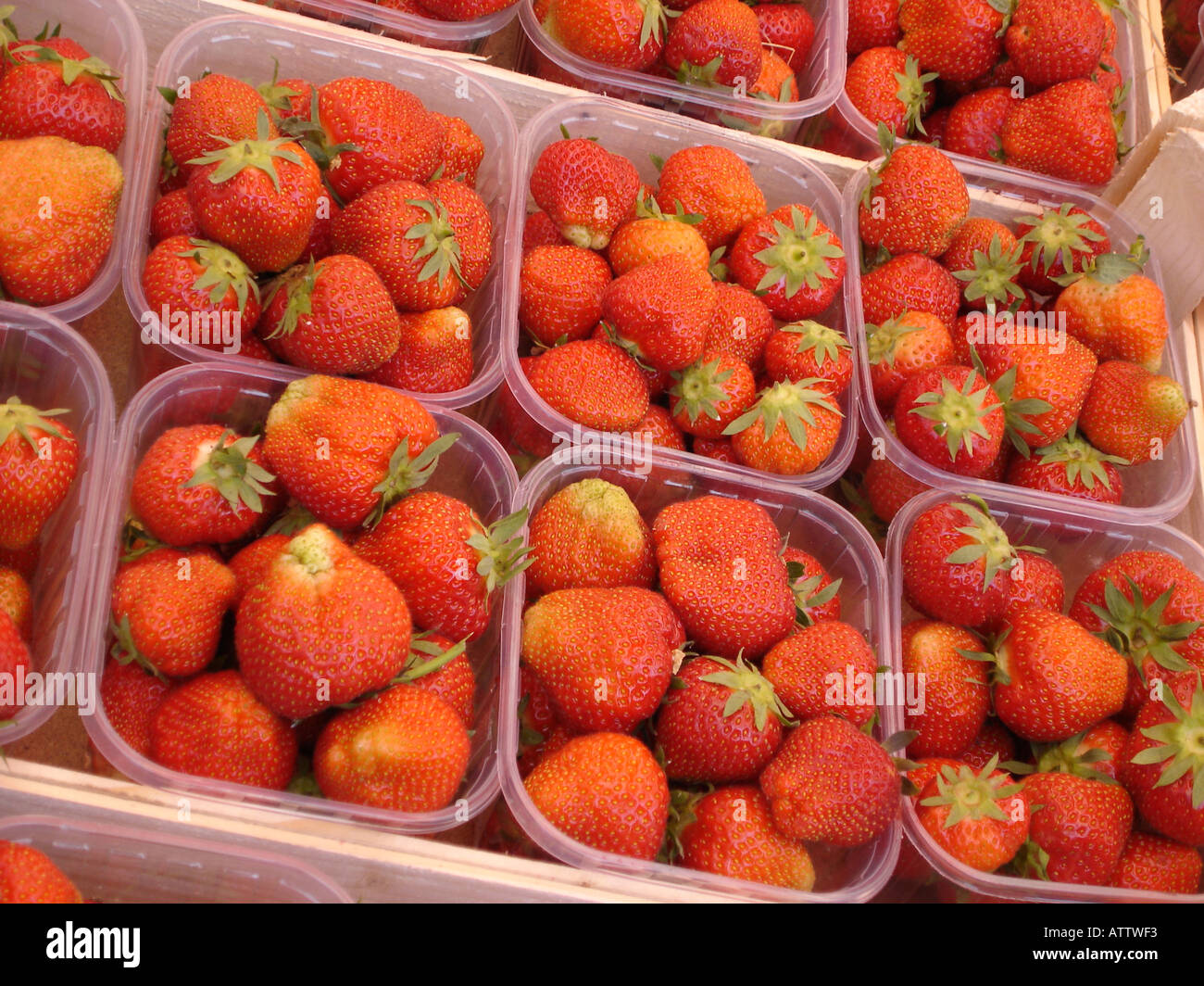 Mass fresh red strawberries hi-res stock photography and images - Alamy