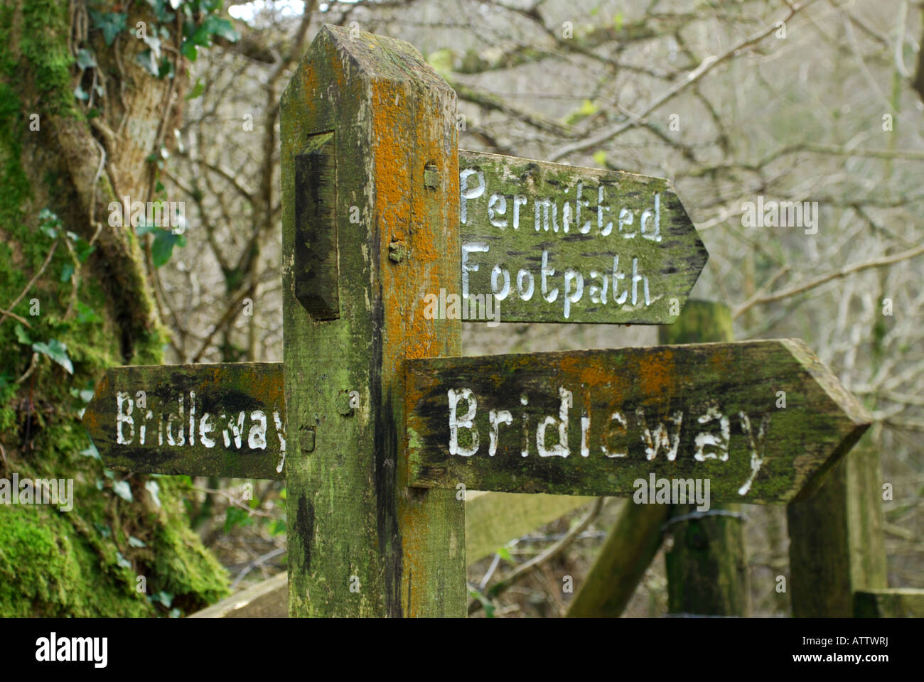 Traditional wooden signposts Stock Photo - Alamy
