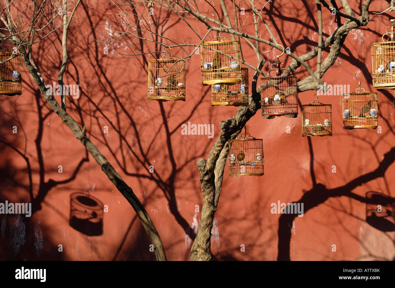 Caged birds in Beijing, China. 03-Mar-2008 Stock Photo