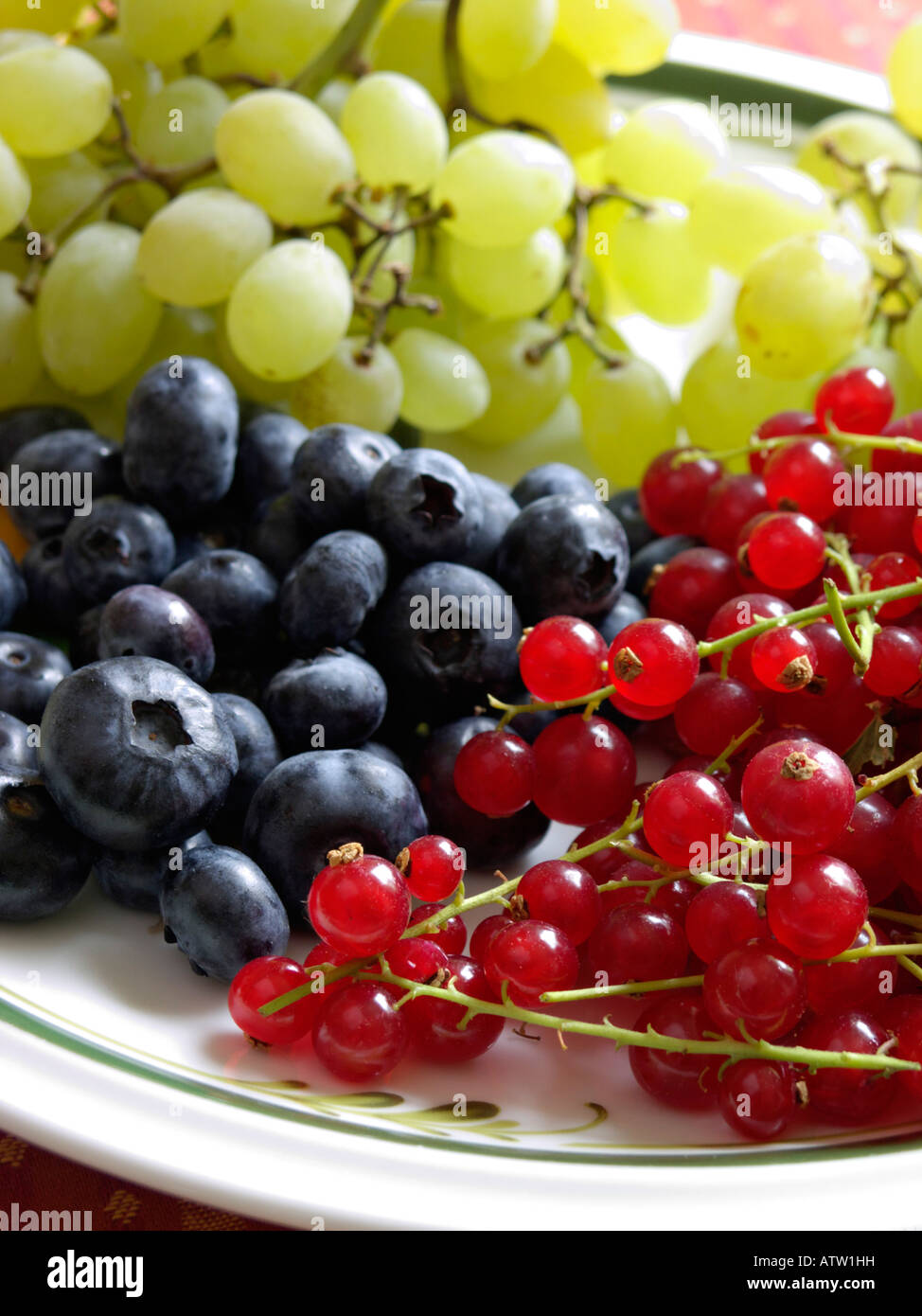 Blueberry (Vaccinium corymbosum), red currant (Ribes rubrum) and grape vine (Vitis vinifera) Stock Photo