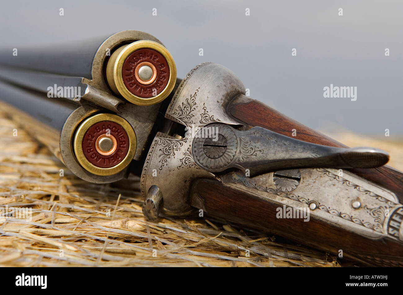 Webley and Scott 12 Gauge Side by Side Shotgun with B P Itailian 2 1/ 2 Inch Shotgun Shells Stock Photo