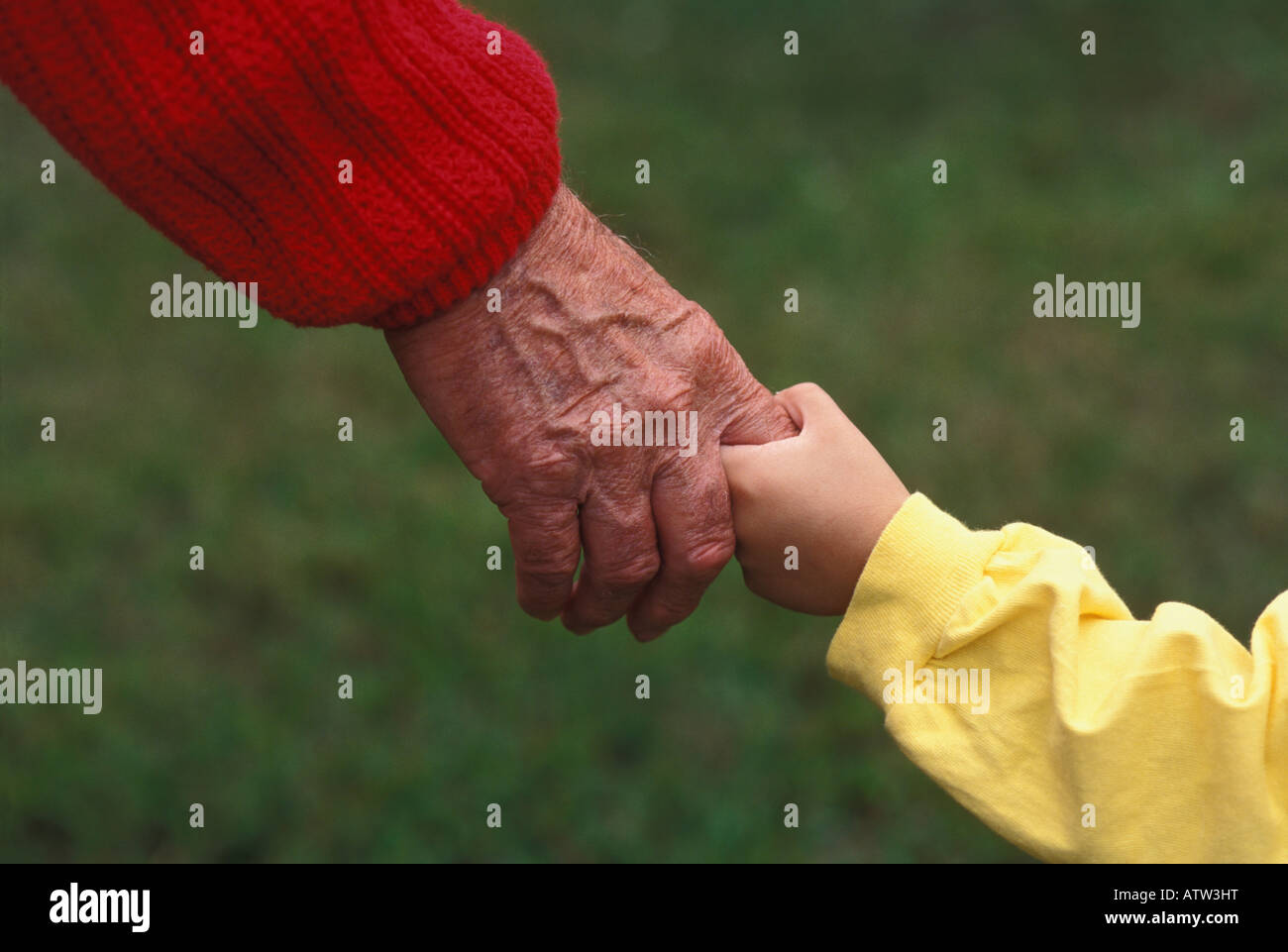 Close-up of Grandfather and Grandson Holding Hands Stock Photo