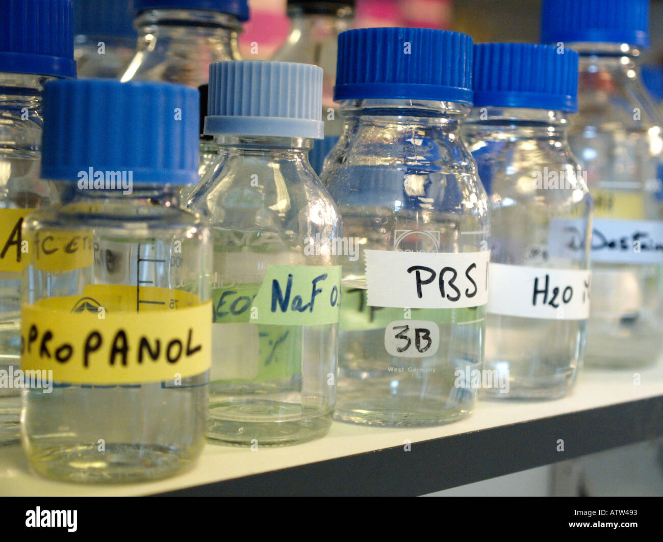 Bottles in a laboratory Stock Photo Alamy