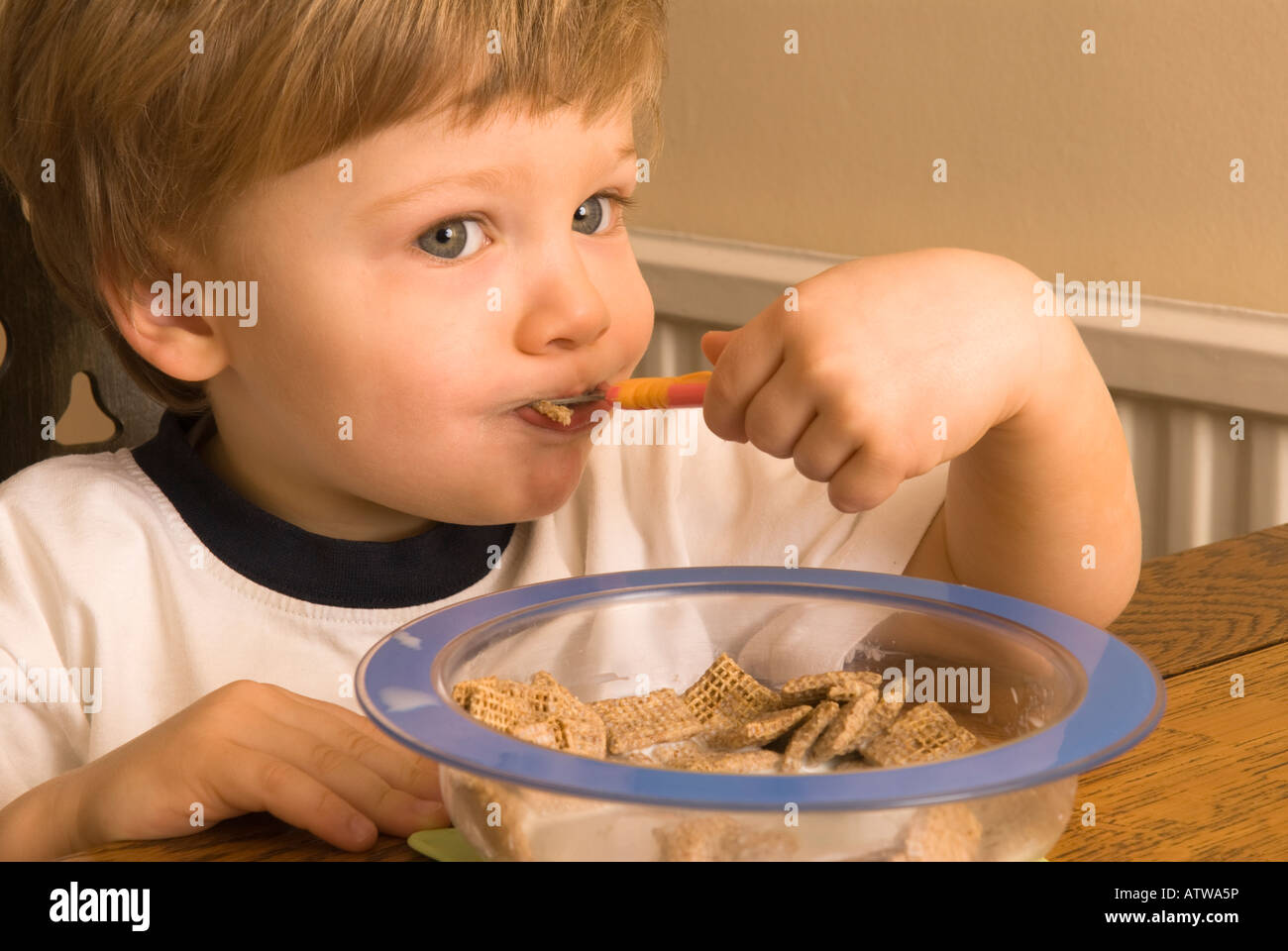 Shreddies breakfast cereal hires stock photography and images Alamy