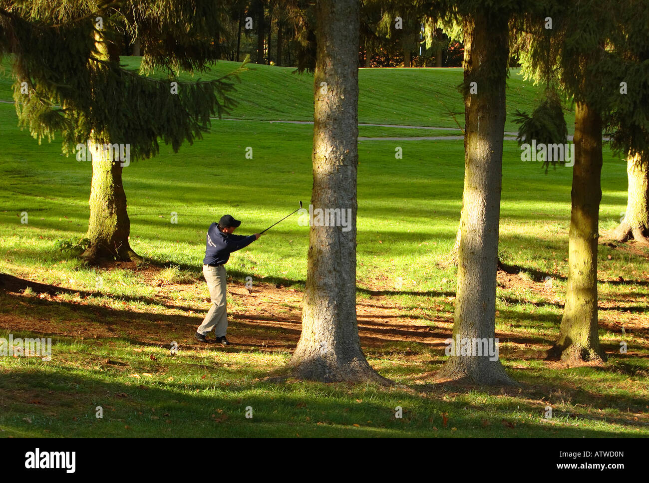 Golf rough hi-res stock photography and images - Alamy