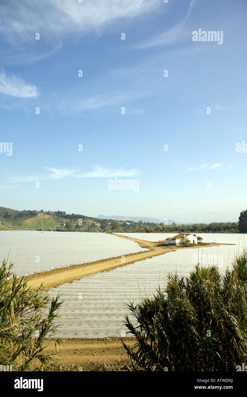 Crops growing under plastic, Valle de Guadalhorce, Malaga Province