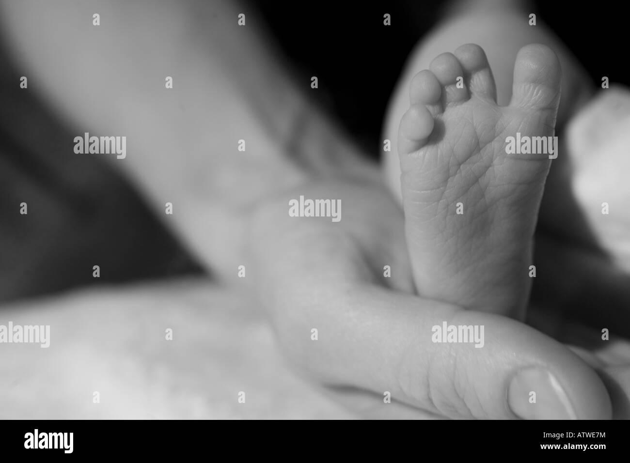 A mother holds the foot of her premature baby, studio Stock Photo
