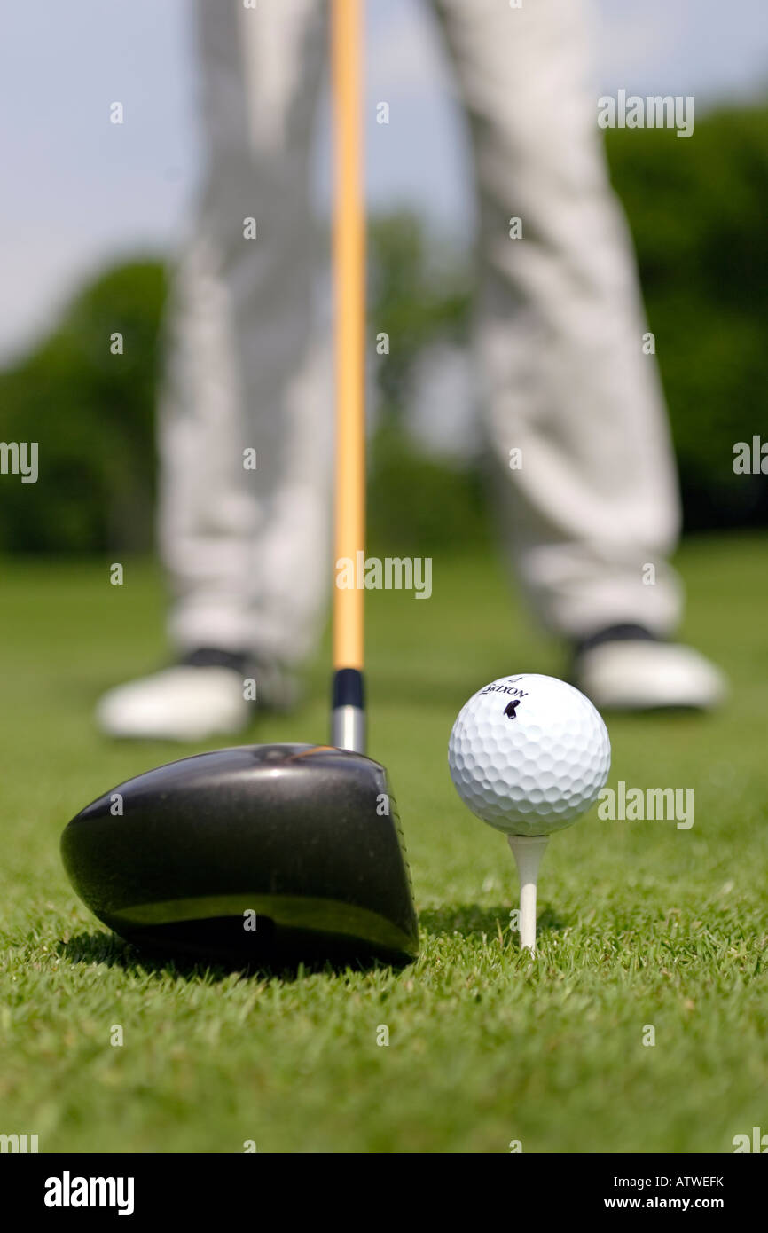 golf tee driver Stock Photo Alamy