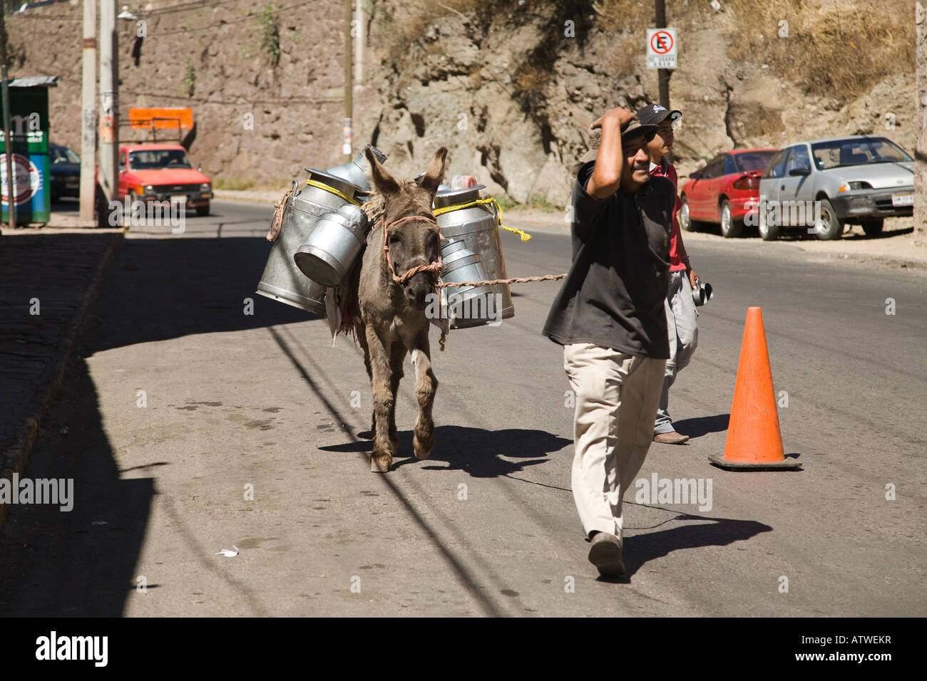 MEXICO Guanajuato Adult male leading burro with metal canisters tied to back down city street Stock Photo