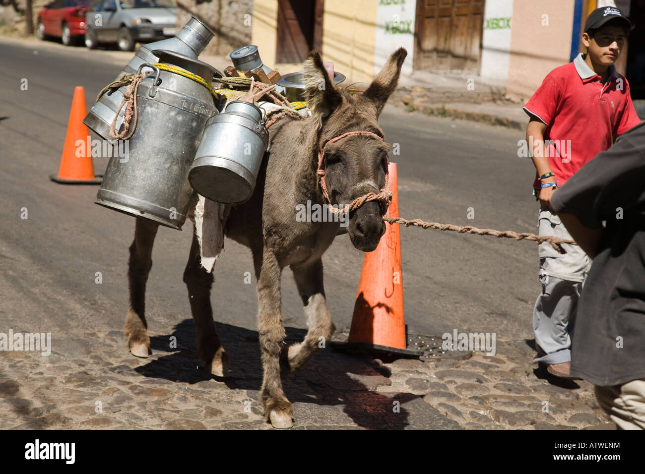 MEXICO Guanajuato Adult male leading burro with metal canisters tied to back down city street making deliveries Stock Photo