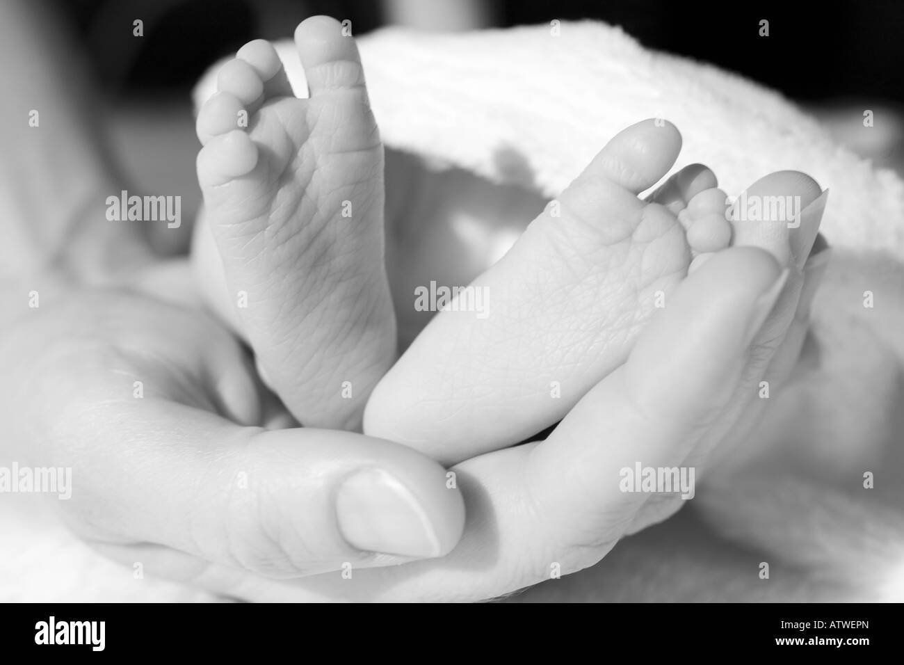 A mother holds the feet of her premature baby, studio Stock Photo