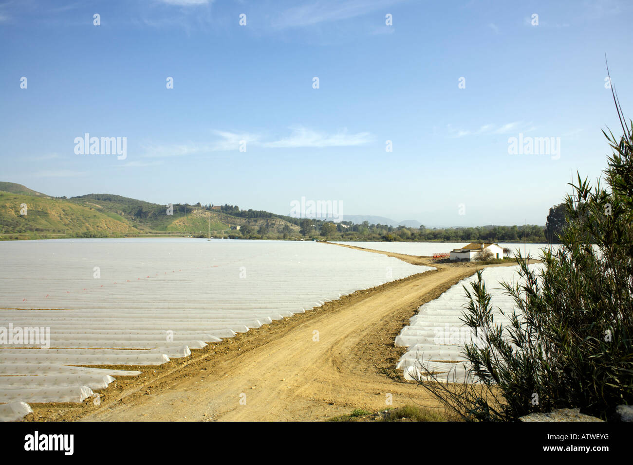 Crops growing under plastic, Valle de Guadalhorce, Malaga Province