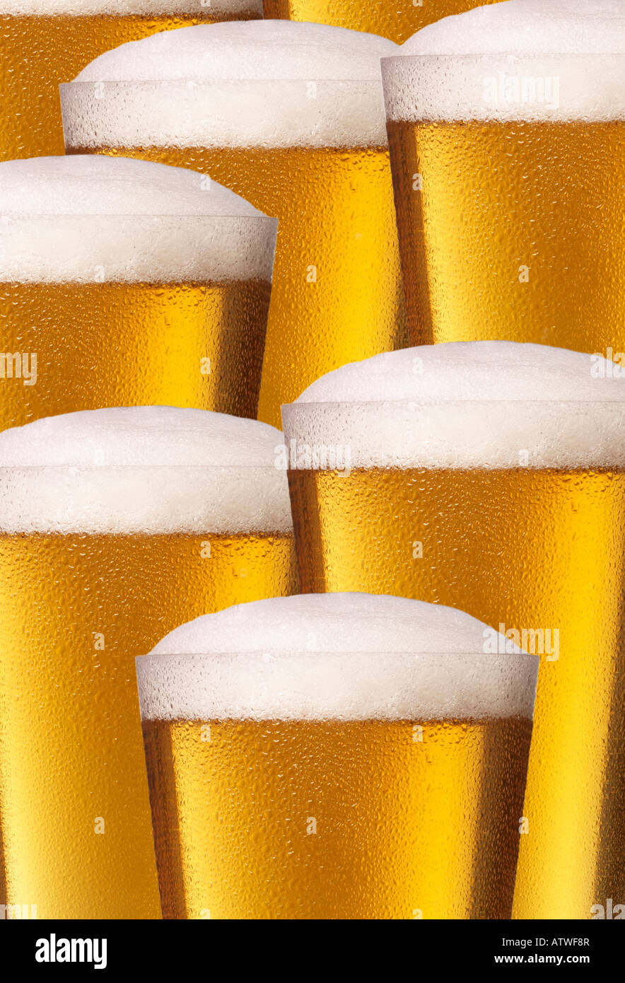 SEVEN BEER GLASSES Stock Photo Alamy