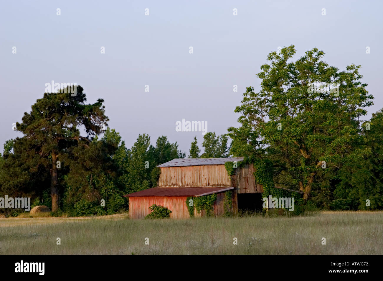 Faded Red Barn Tin Roof Stock Photos Faded Red Barn Tin Roof