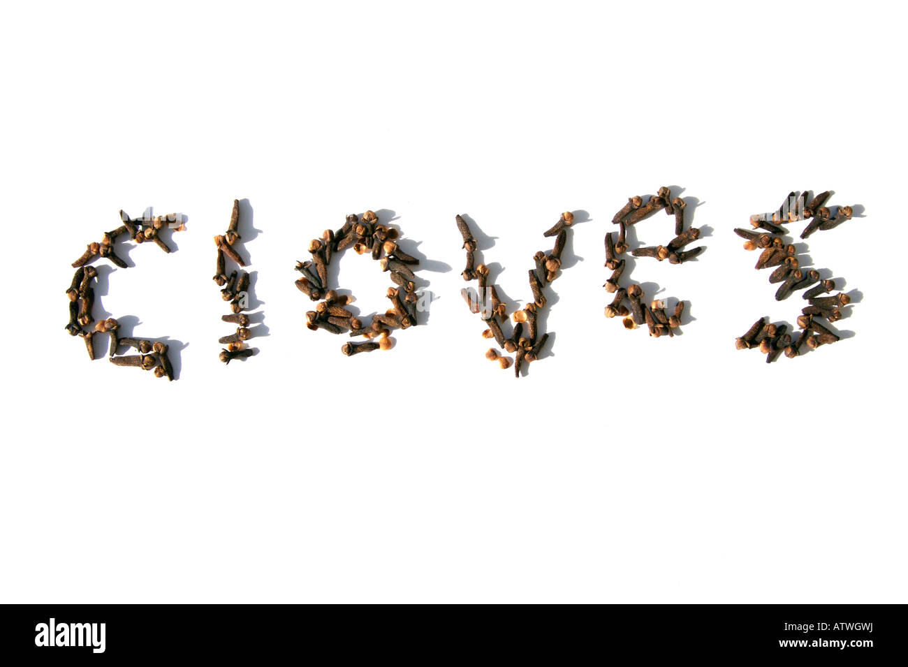 CLOVES SYZYGIUM AROMATICUM MYRTACEAE SPELLING THE WORD CLOVES Stock