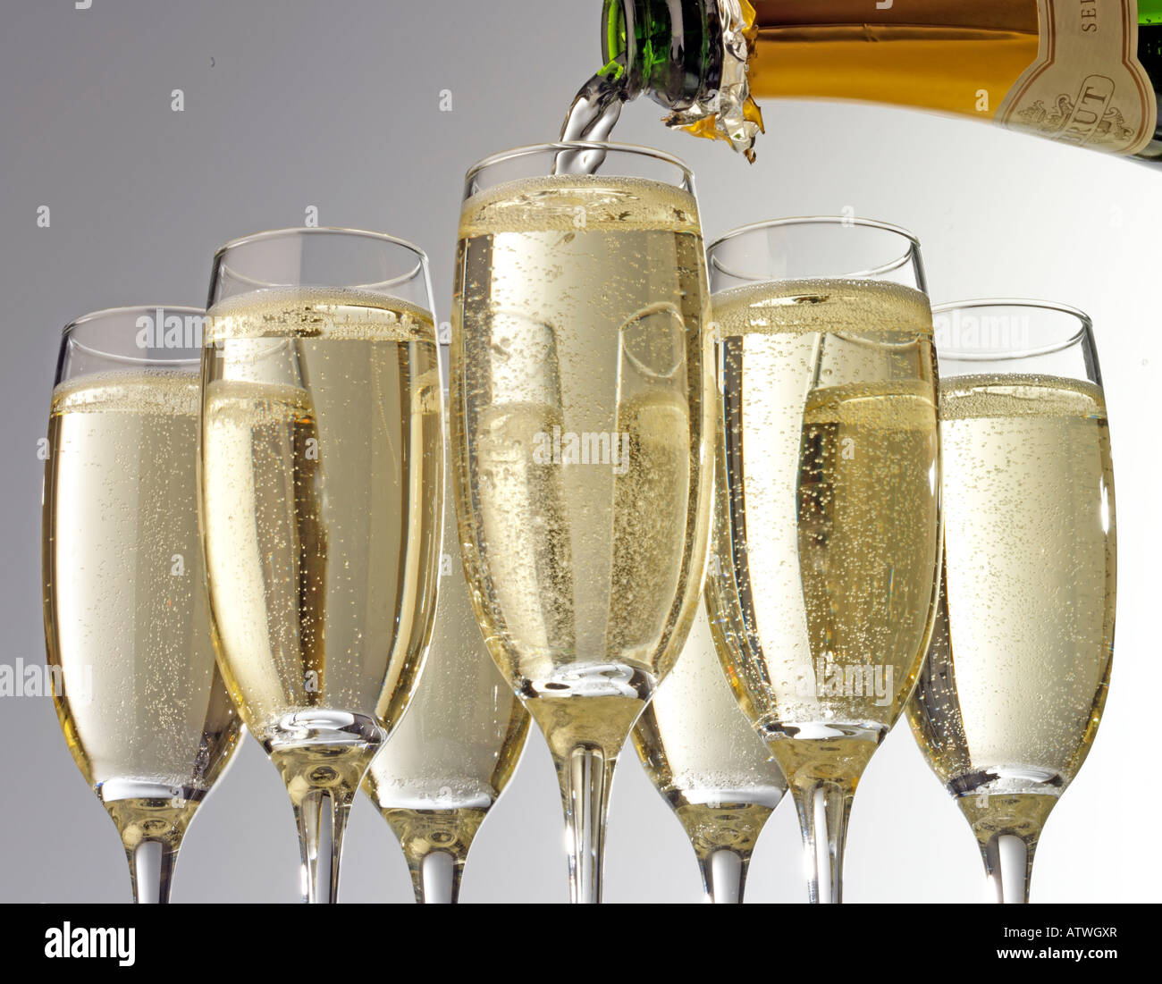 Sparkling wine cava champagne hi-res stock photography and images - Alamy