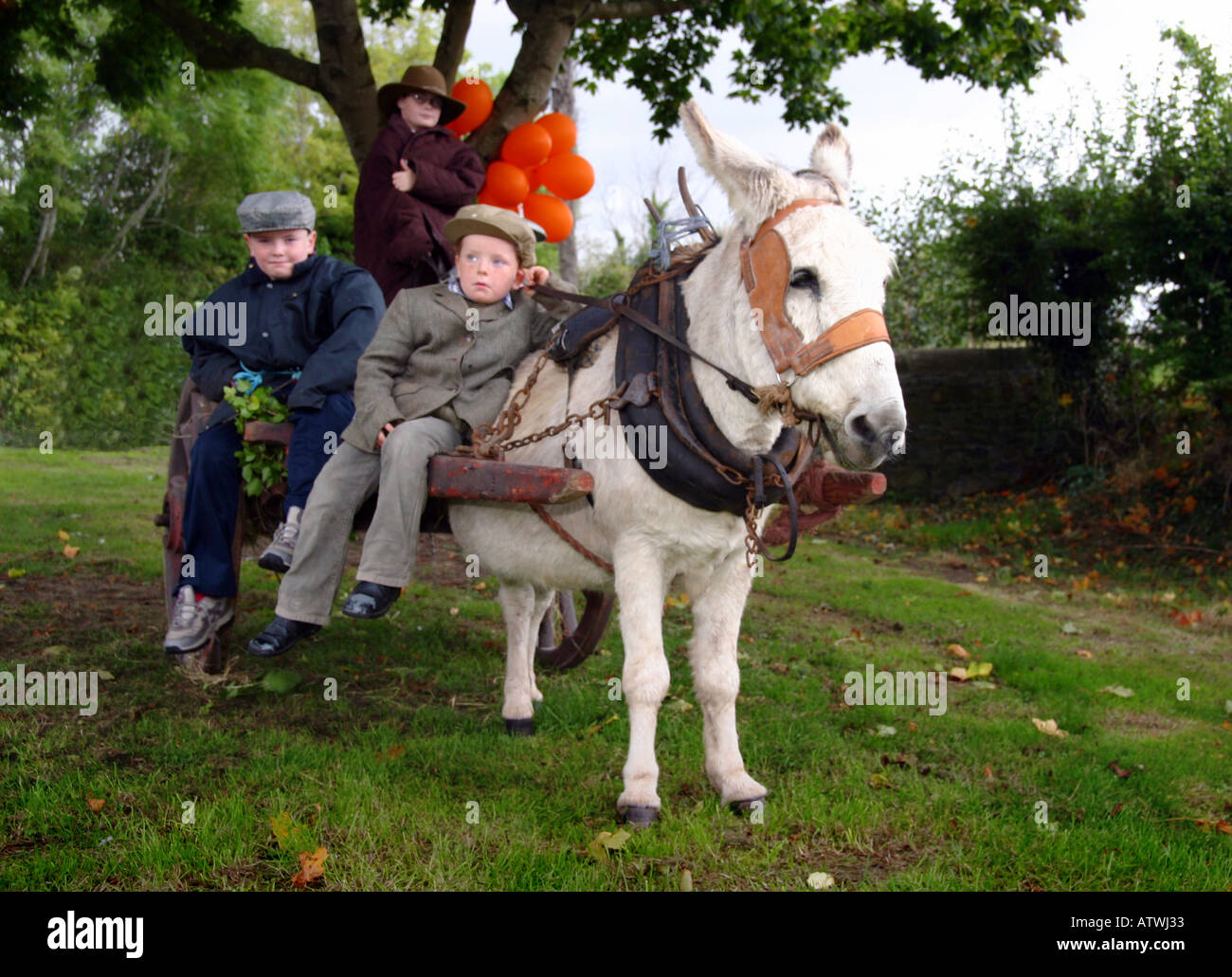 Donkey and Cart Stock Photo
