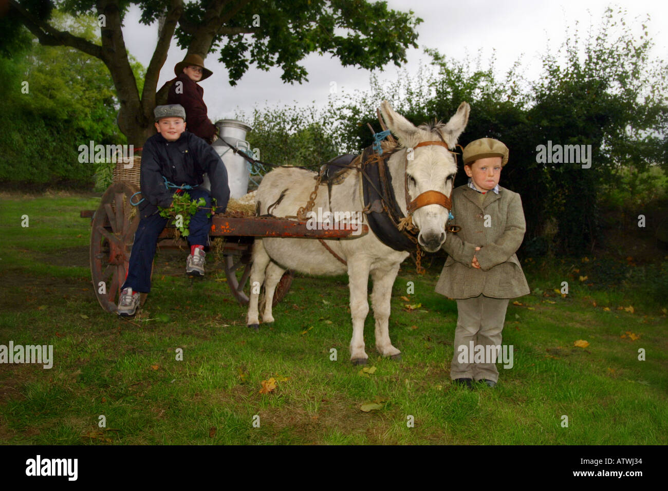Donkey and cart ireland hires stock photography and images Alamy