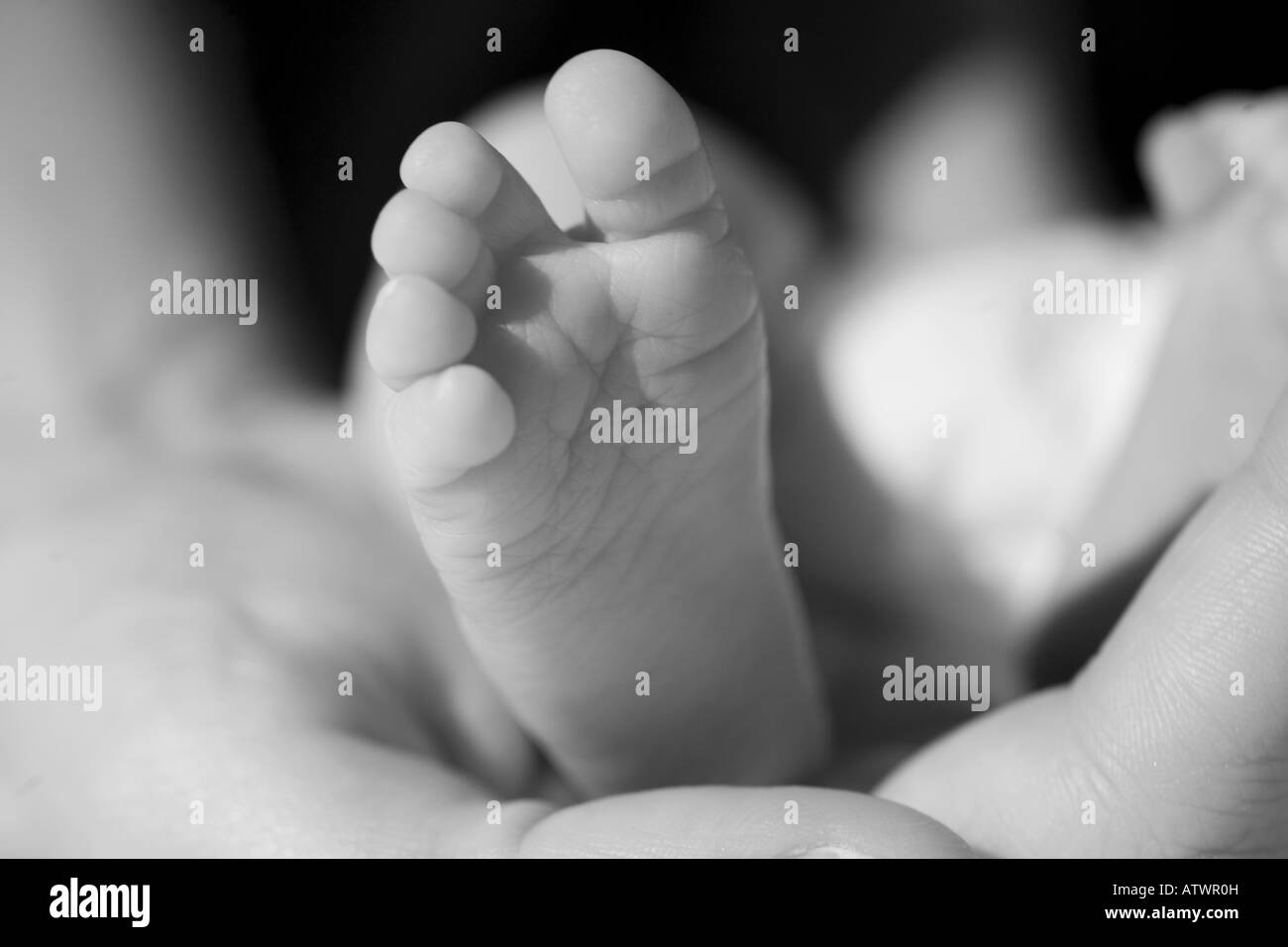 A mother holds the foot of her premature baby, studio Stock Photo