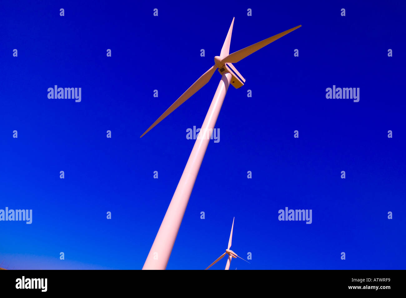 Environmental Issues Stock Photo