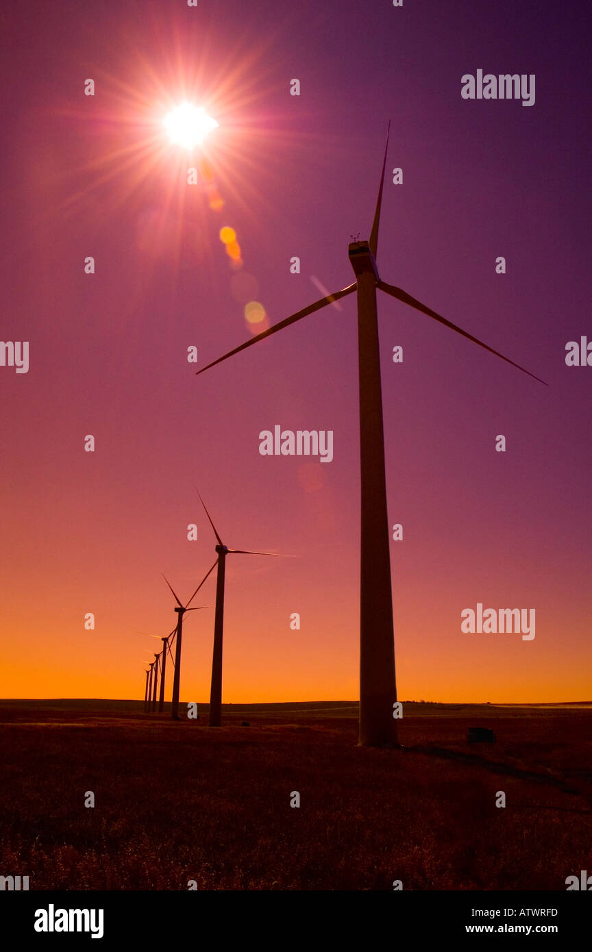 Rising sun flare hi-res stock photography and images - Alamy