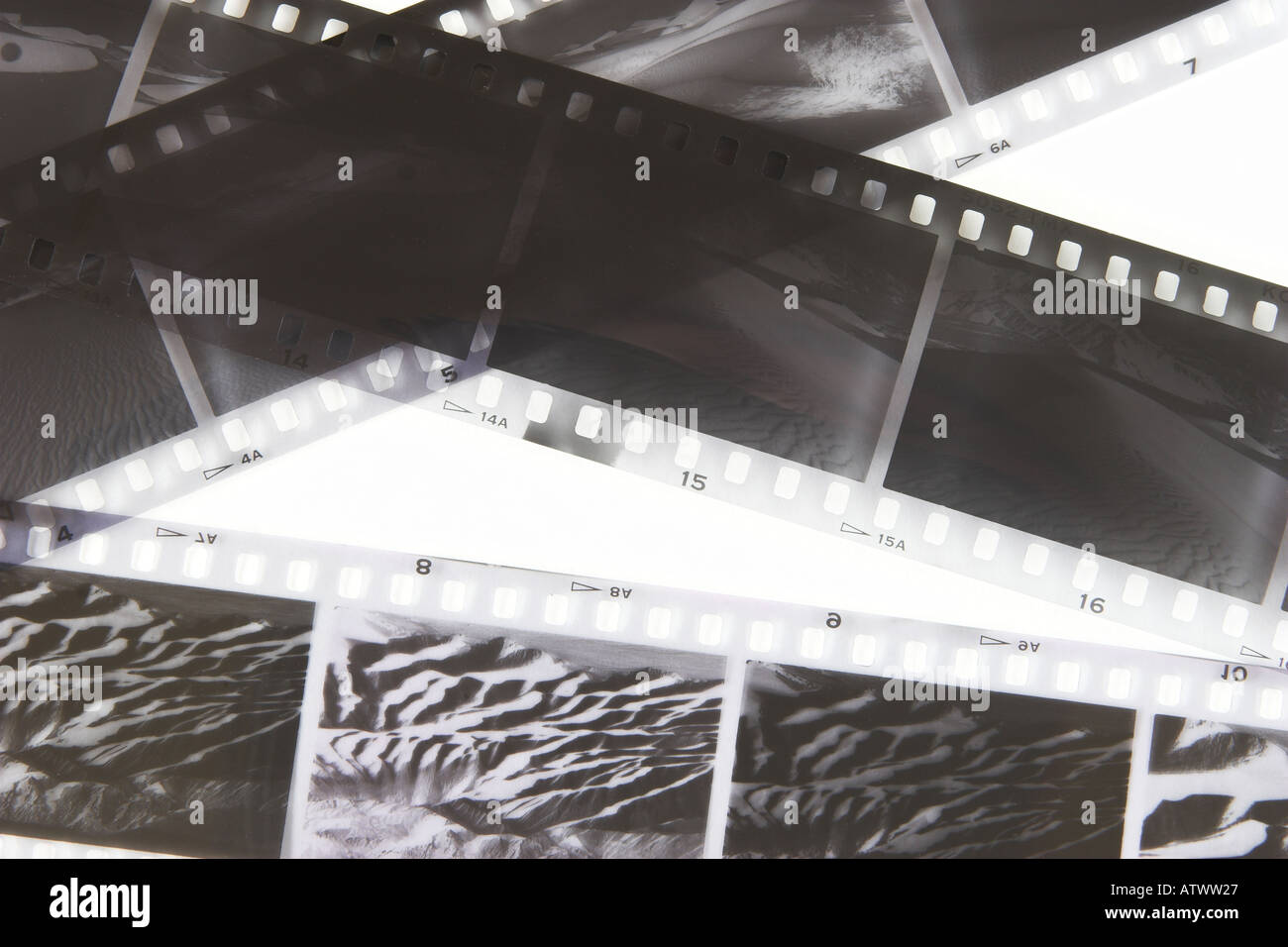 Close up view of black and white film negatives showing desert scenes