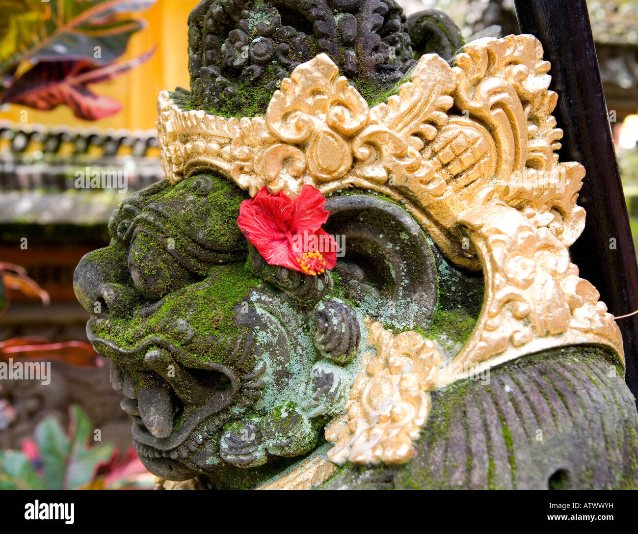 Bali flower full coverage - Gem