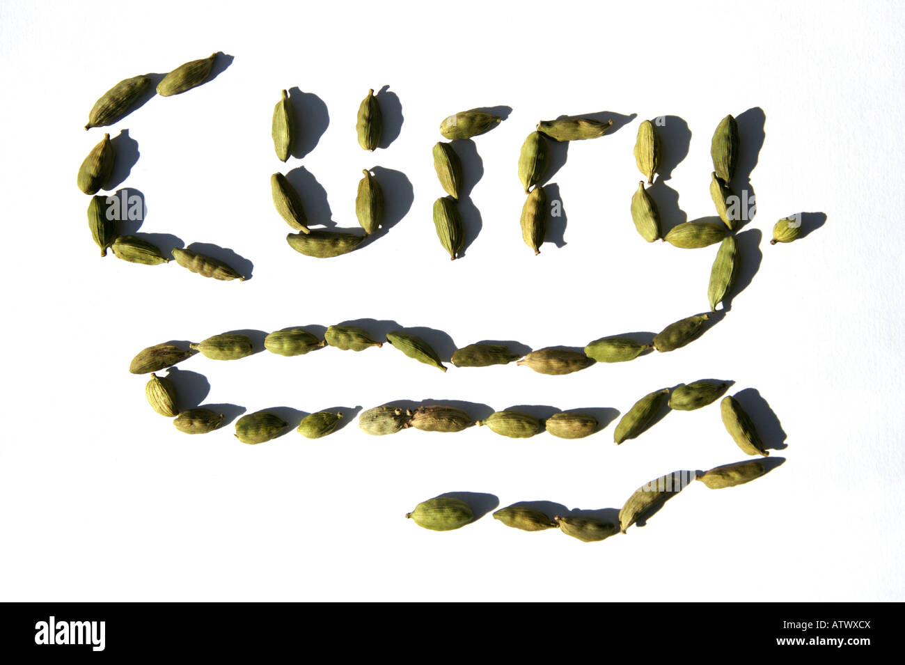 CARDAMOM PODS ELETTARIA CARDAMOMUM ZINGIBERACEAE SPELLING THE WORD CURRY Stock Photo Alamy