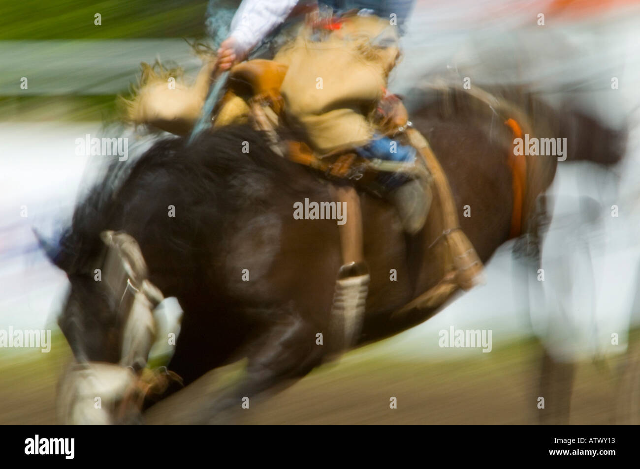 Horse bucking rider hi-res stock photography and images - Alamy