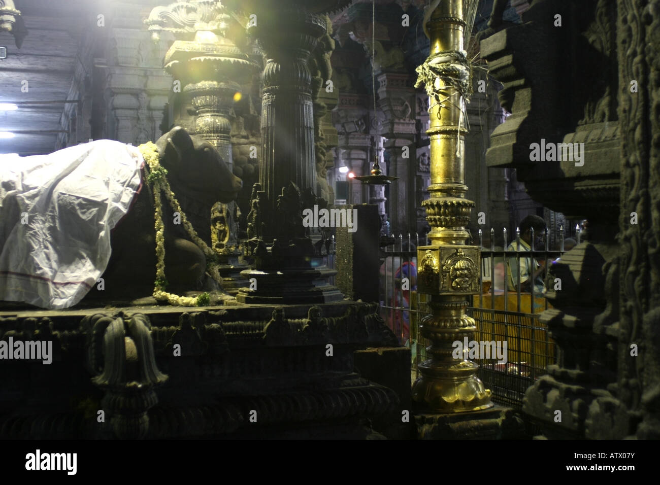 Statue of Nandi bull , Sri Meenakshi Temple , Madurai , Tamil Nadu