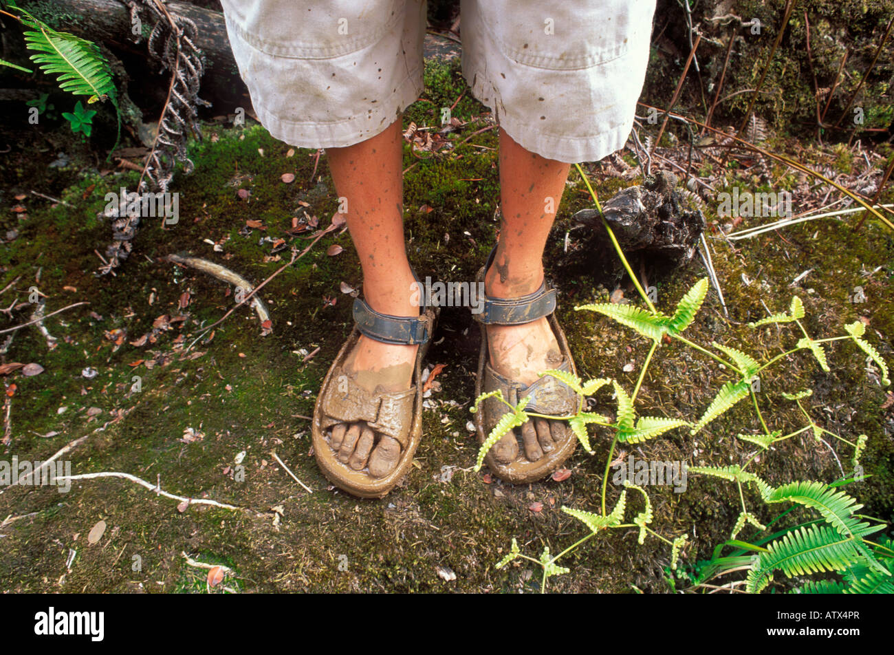 Childs muddy sandals after hiking the Pihea Trail into the Alakai Swamp Kokee State Park Kauai Hawaii Stock Photo