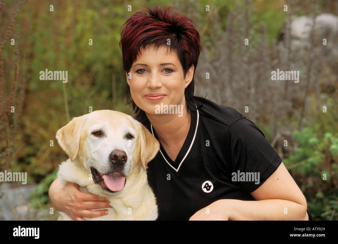 Females labrador hi-res stock photography and images - Alamy