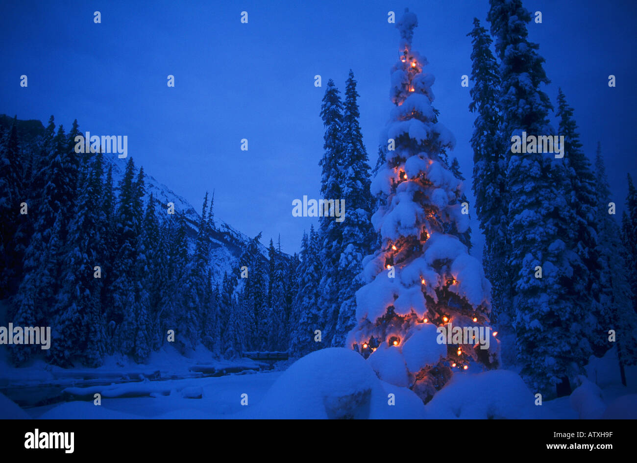 Yoho national park canada night hi-res stock photography and images - Alamy