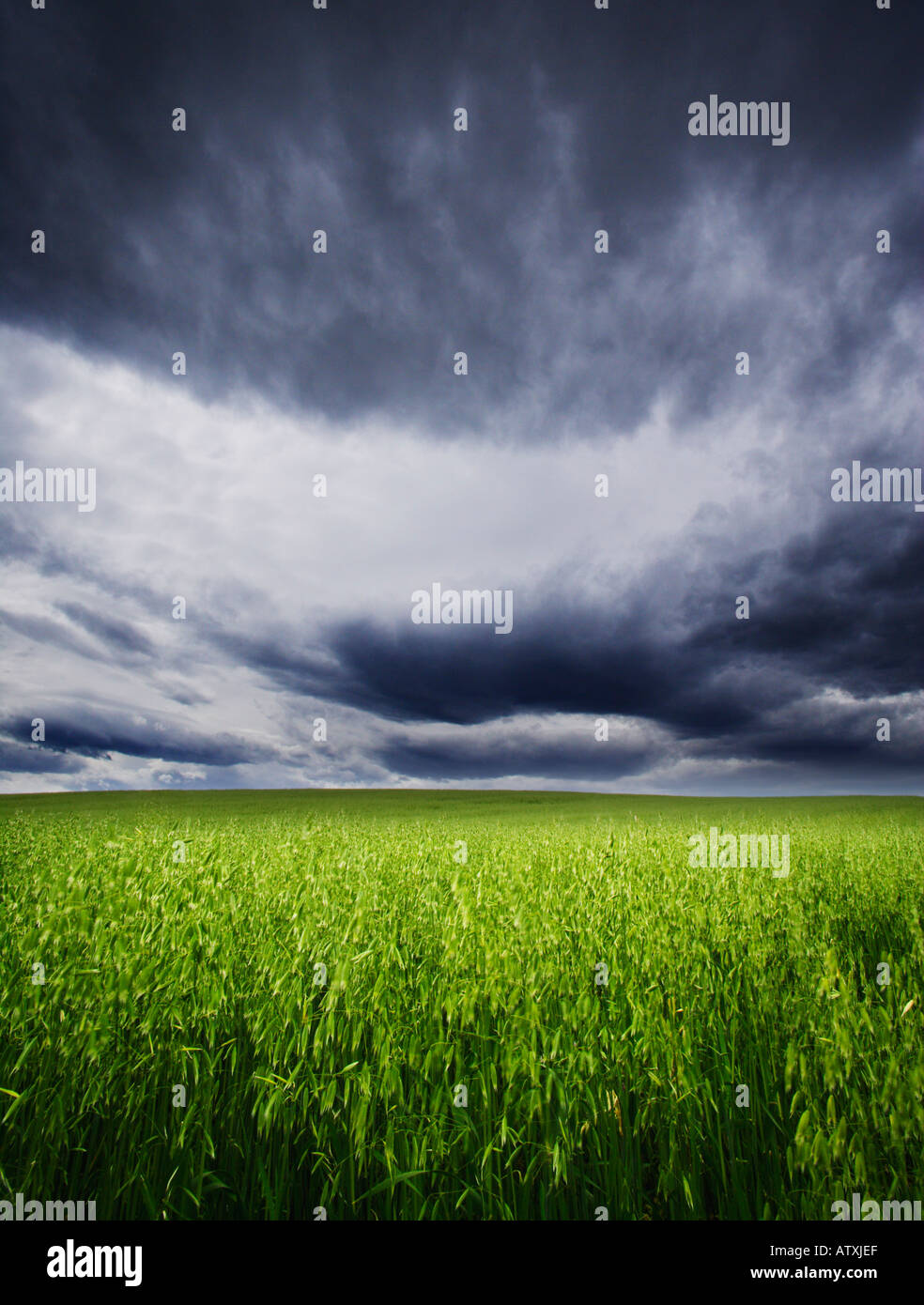 Outdoors dark and stormy hi-res stock photography and images - Alamy
